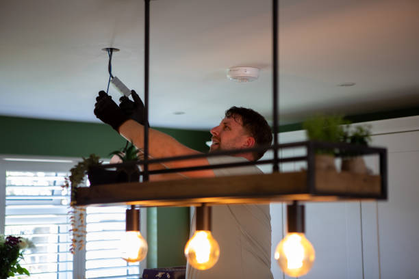 Best Electric Panel Repair  in Puxico, MO